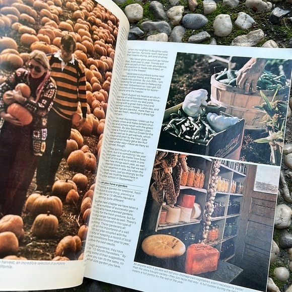 Vintage 70s “12 Months Harvest" Book Canning, Preserving, Harvesting, Homestead - Picture 6 of 12